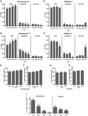 <mark class="highlighted">Extracellular Acidification</mark> Inhibits the ROS-Dependent Formation of Neutrophil Extracellular Traps